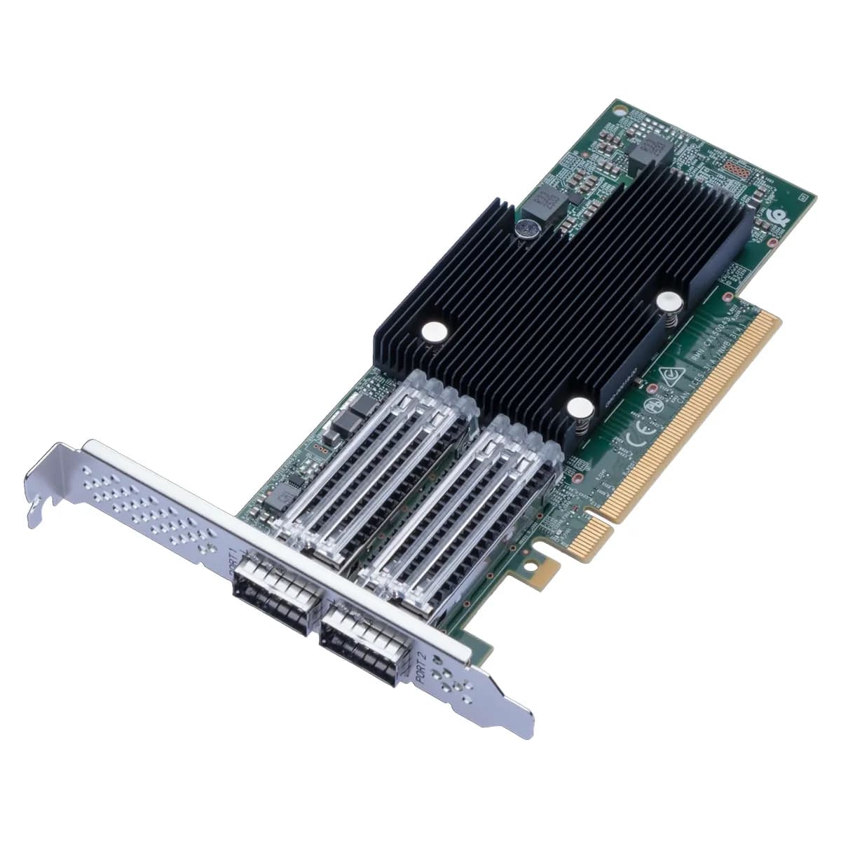 Synology P2100G - dwuportowy adapter 100GbE